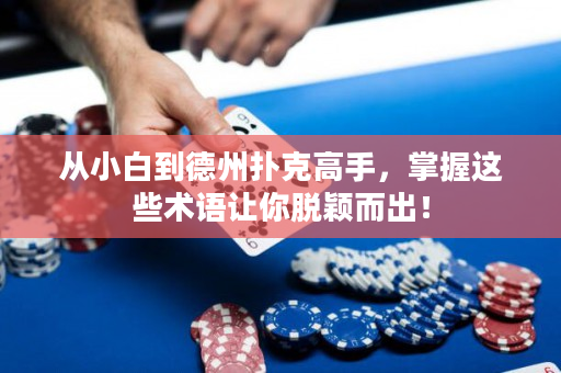 从小白到德州扑克高手，掌握这些术语让你脱颖而出！