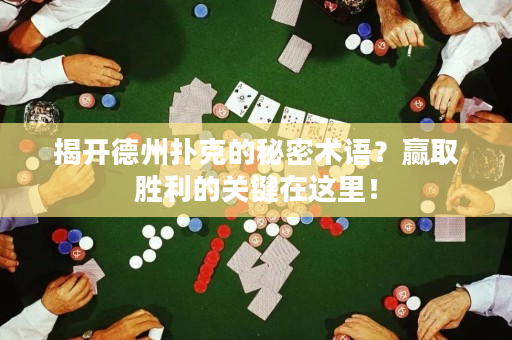 揭开德州扑克的秘密术语？赢取胜利的关键在这里！